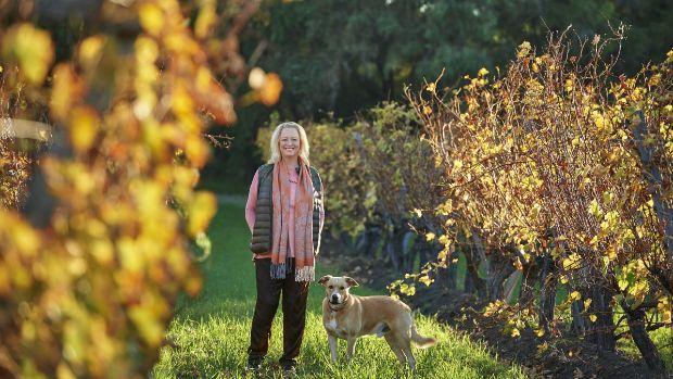 Cullen Wines - Image 3